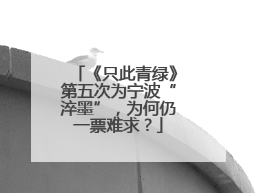 《只此青绿》第五次为宁波“淬墨”，为何仍一票难求？